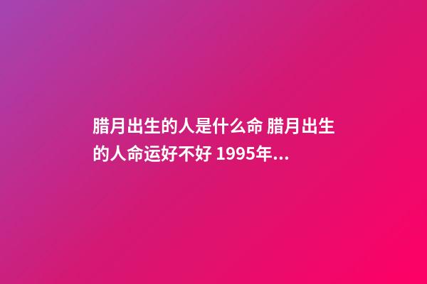 腊月出生的人是什么命 腊月出生的人命运好不好 1995年属猪是什么命-第1张-观点-玄机派